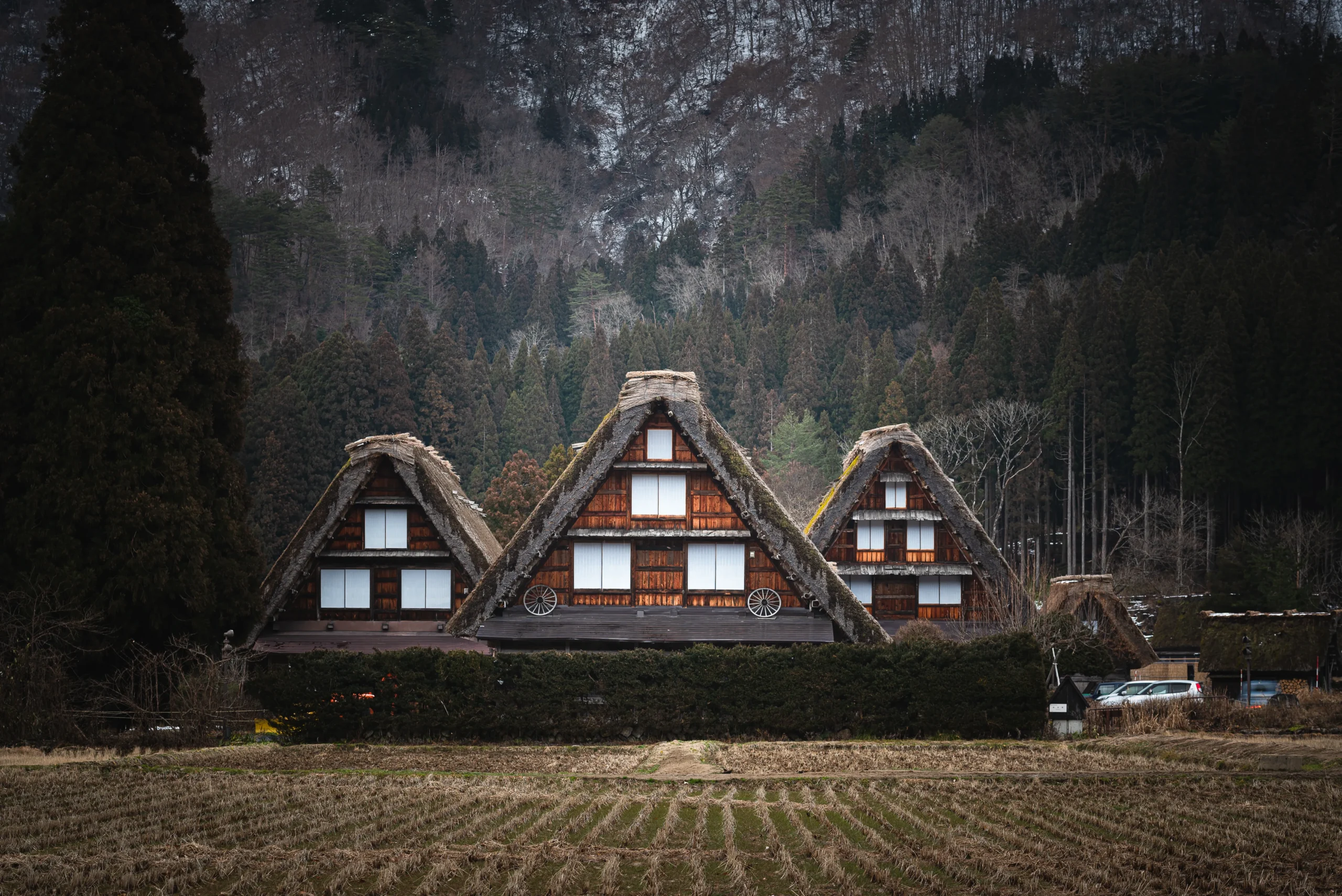 beautiful-shot-buildings-shirakawa-japan